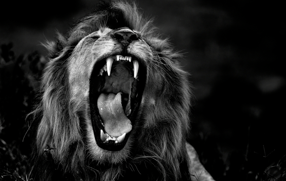 The Undetected Sin that Attracts the Roaring Lion